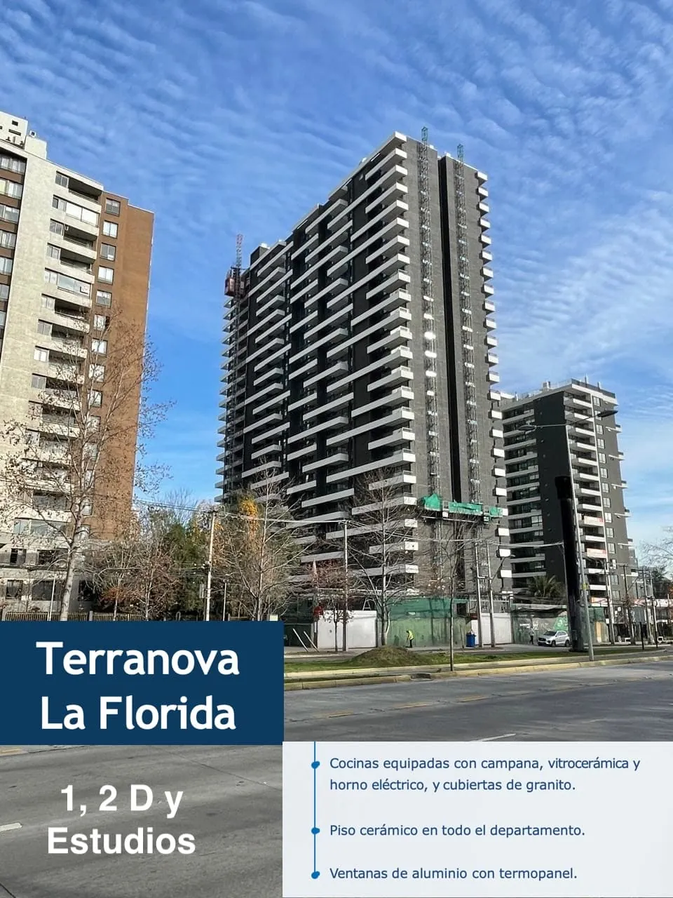 Terranova